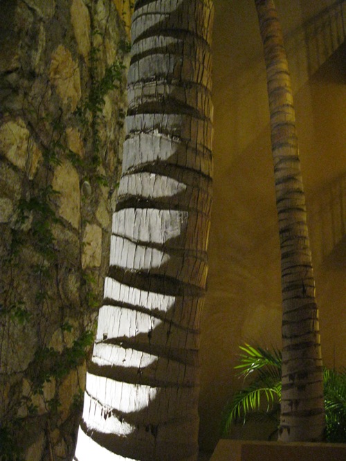 Cabo San Lucas 051