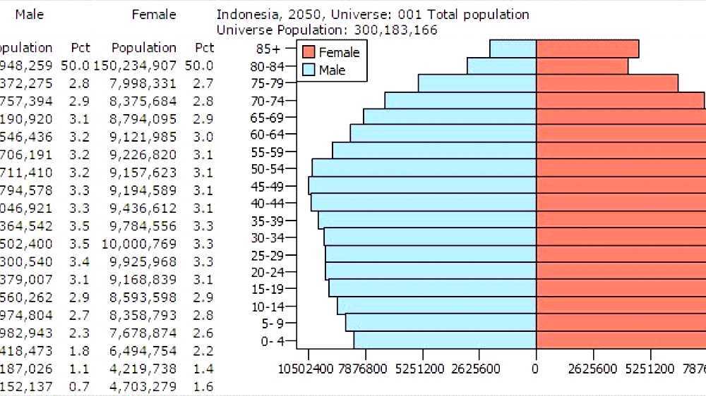  Demographics of Indonesia 
