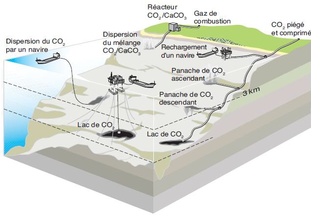 Les différentes méthodes de stockage océanique du dioxyde de carbone (Metz, Davidson et al. 2005)