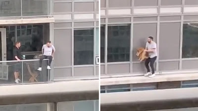 Un hombre camina entre balcones de gran altura para salvar a su gato