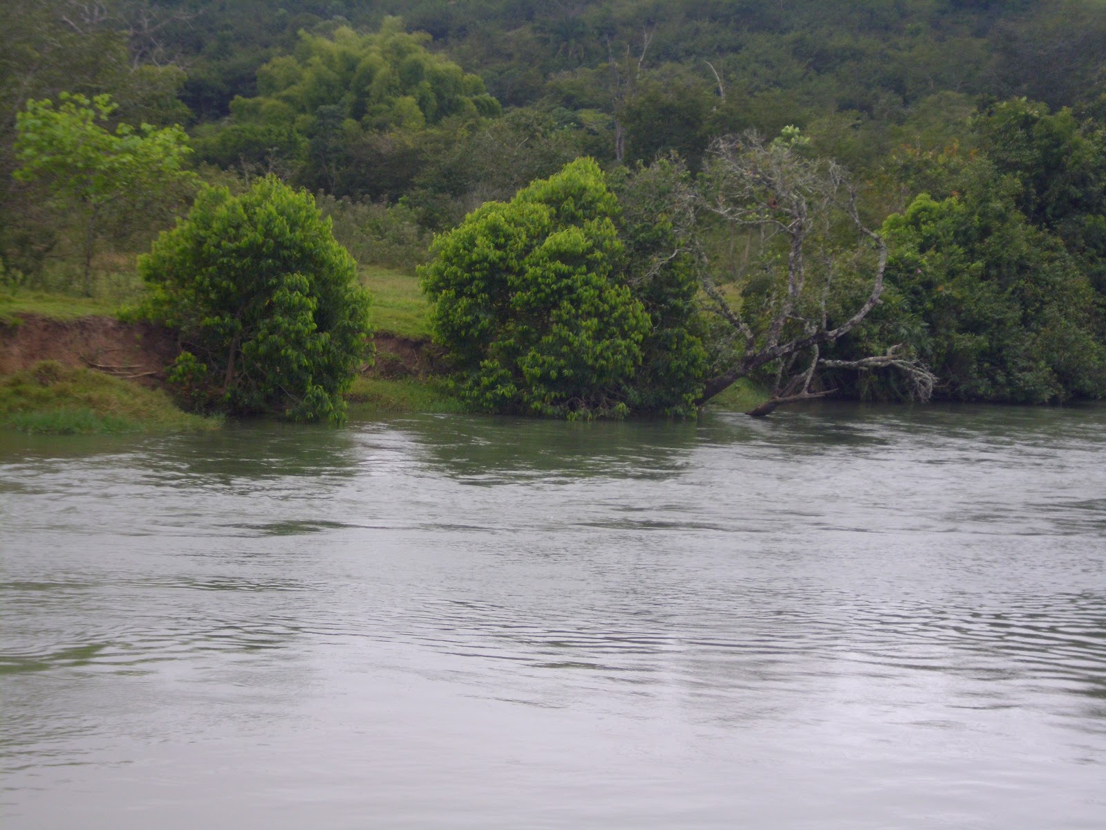 Rio Araguaia, Alto Araguaia | Mato Grosso