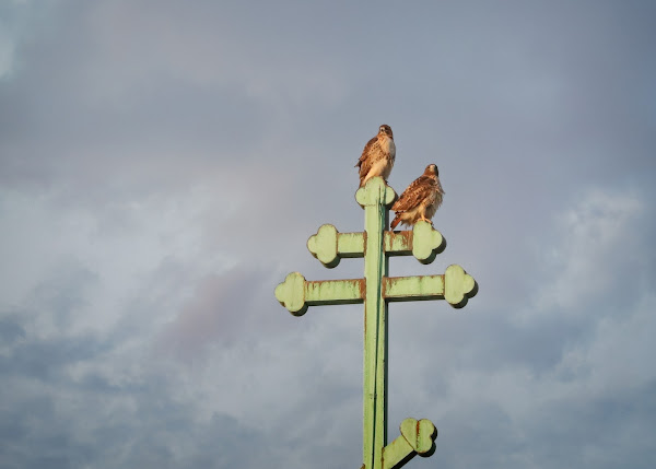 Christo and Amelia perched on the cross in late afternoon light.