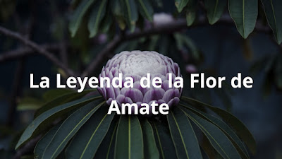 La Leyenda de la Flor de Amate