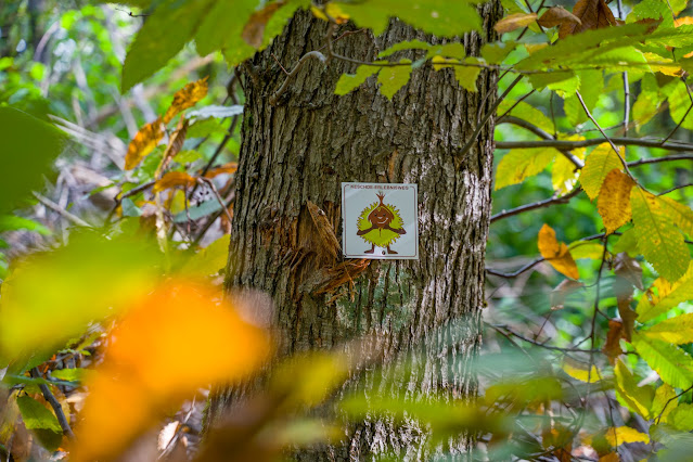 Keschde-Erlebnisweg und TrifelsErlebnisWeg | interaktiv wandern im Trifelsland | Südliche Weinstraße 18