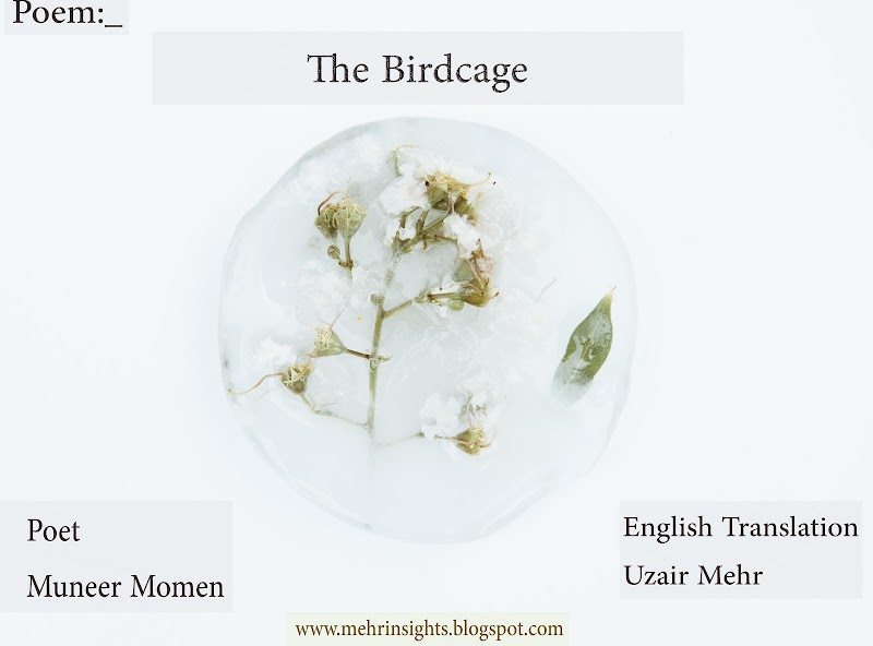        Poem: The Birdcage