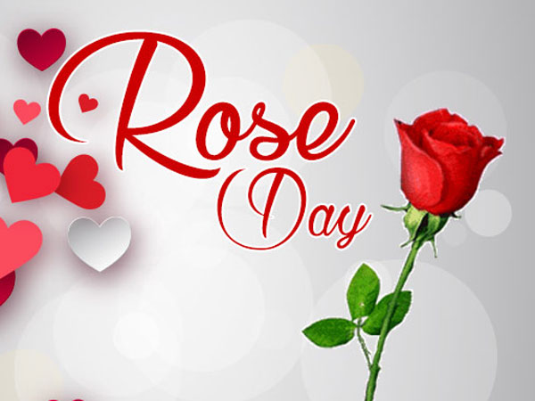 Happy Rose Day 2019: Best Wishes, Images, SMS, Quotes, WhatsApp Messages.