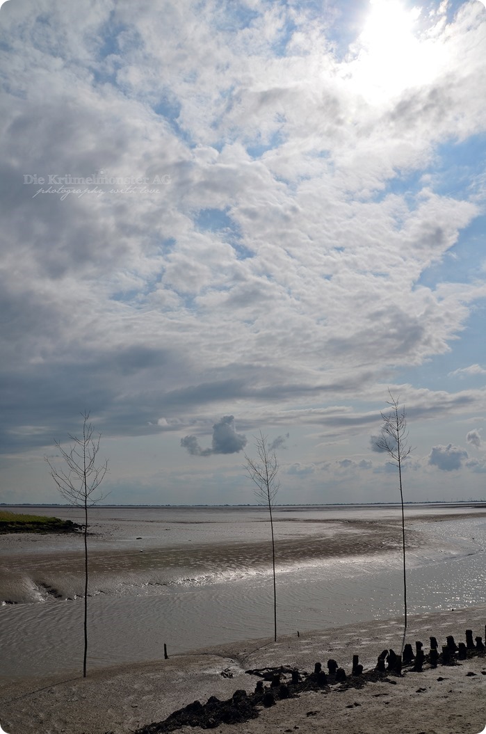 Wremen 05.08.14 Wremer Hafen 172