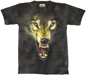 T-Shirts-for-Men,-T-Shirts-Photos,-Pictures
