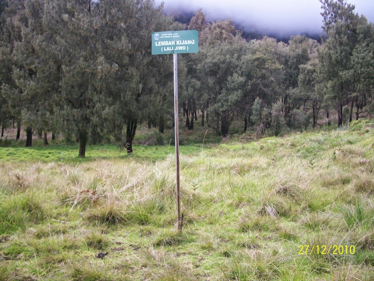 Lembah Kijang Di Gunung Arjuno Welirang  Mangreza