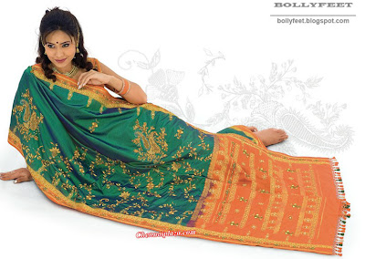 Beautiful Models in Sarees - 2010