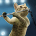 10 gambar kucing main alat muzik