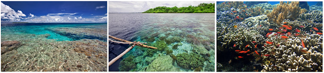 Kepulauan Widi - Wisata Halmahera Selatan