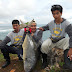 Ater Fishing Jogja Bikin Sensasi