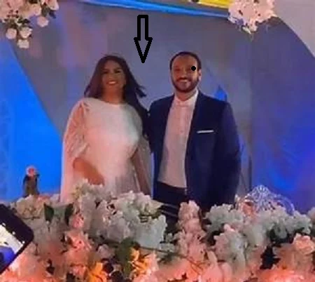 شاهد حفل زفاف هنادي مهنا واحمد خالد صالح بالفيديو