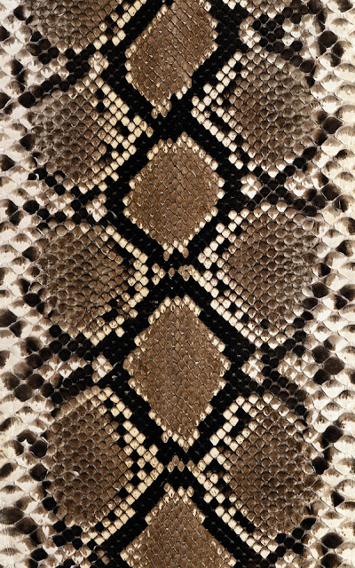 Idea, Inspiration, Design, Art, Composition, Pattern Animal, Skin, Snake, Brown, Stripe Vertical, Texture