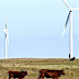 Wind power in Texas