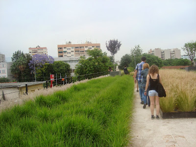  green roof στην Πειραιως 222