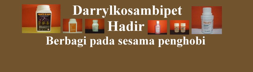 "Sakit kulit Demodek,Scabies,Kutu Anjing,Obat kutu"