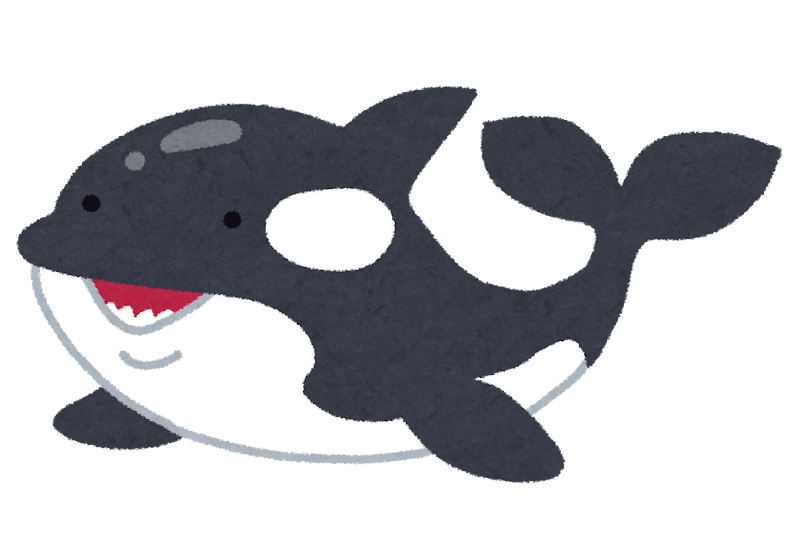 シャチのイラスト かわいいフリー素材集 いらすとや シャチのイラスト かわいいフリー素材集 いらすとや