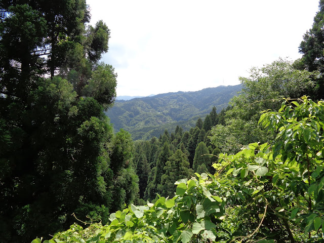 鎌倉山グリーンラインからの風景