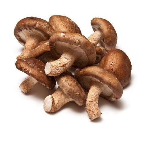 Mushrooms For Vitamin D | Best Mushroom For  Vitamin D | Mushroom Vitamin D Supplement