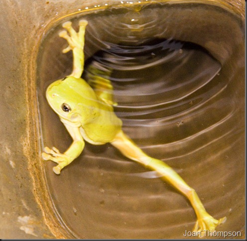 20120510_121web