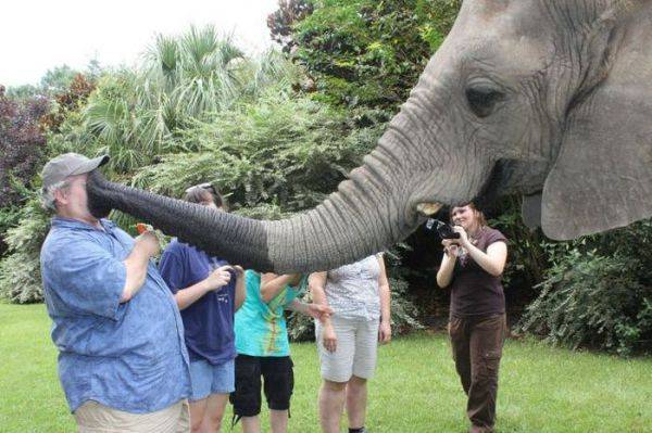 Women usually like all the cute and fluffy creature, they always want to pet them... But these creatures can be not that cute. And this is what can happen, if you try to get along with them.