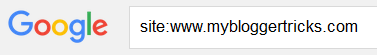 google site query