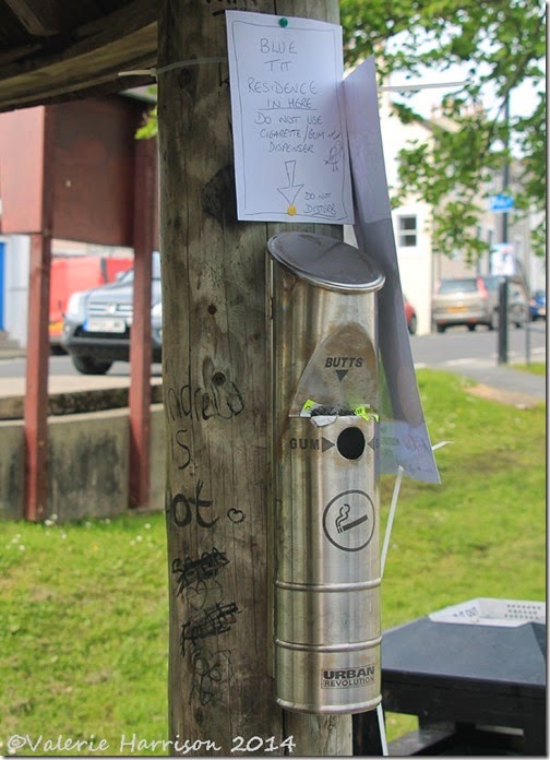 35-bluetits-nest