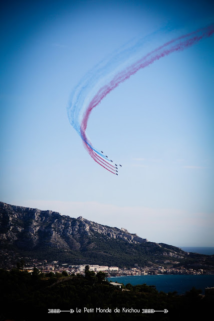 PAF_PATROUILLE_DE_FRANCE_SALON_MARSEILLE_2015_MEETING_PRADO