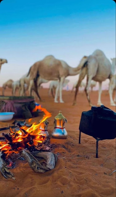 صور شباب بدو , شباب البدو في الصحراء