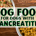 Homemade Foods For Dogs With Pancreatitis