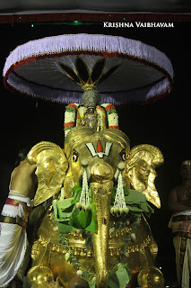 Yaanai Vahanam,YEasel, Day 06,Brahmotsavam, Thiruvallikeni, Sri PArthasarathy Perumal, Temple, 2017, Video, Divya Prabhandam,Utsavam,