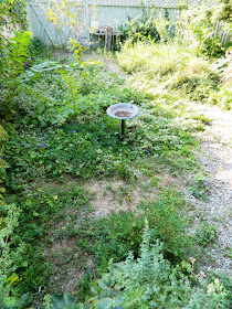 Cabbagetown backyard before Toronto garden cleanup Paul Jung Gardening Services
