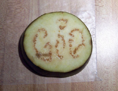 Eggplant with seeds that form the word god