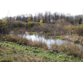 fenced wetland