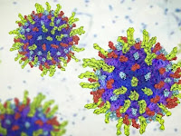 Cancer-killing virus shows promise in patients.