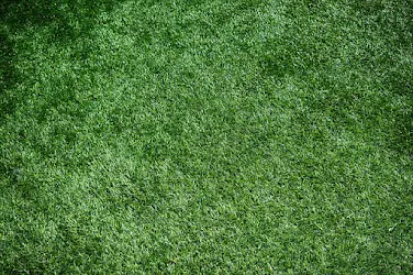 Artificial Grass