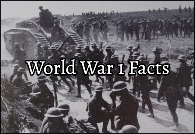 Fact about world war 1