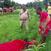 CG दर्दनाक "जंगली हाथियों के रास्ते आई महिला को हाथियों ने उतारा मौत के घाट..??  