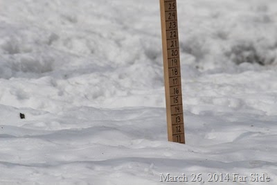 Snowstick March 26 about 10 amd ome hal;f inches
