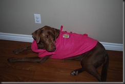 Christmas 2011 1130