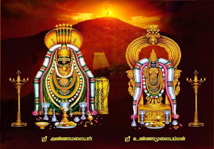 ARULMIGU ARUNACHALESWARAR TEMPLE THIRUVANNAMALAI