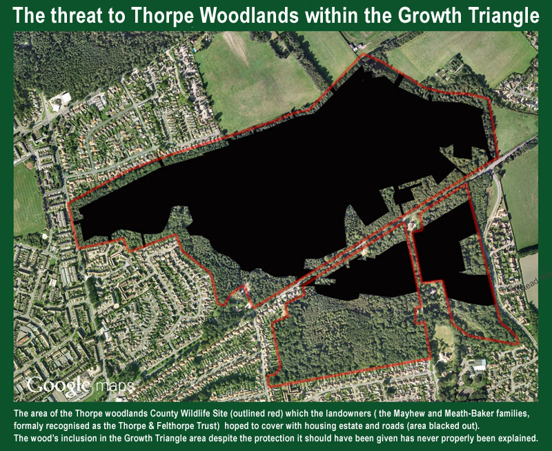 Save Thorpe Woodlands People Power