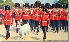 RWF ceremonial parade