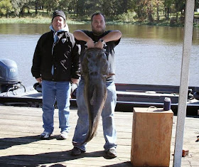 63 pound Flathead catfish Lake Fork