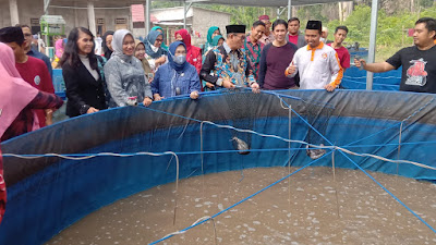 Panen Raya Budidaya Ikan Lele Program Aspirasi DPR RI Sri Kustina Amalindo