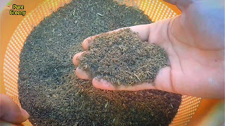 Aloe-vera-plant-care-fertilizer