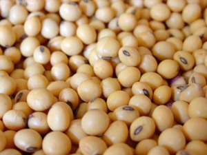 grainmarketnews_soybean4_020