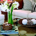 Coffee Table Decorating Ideas